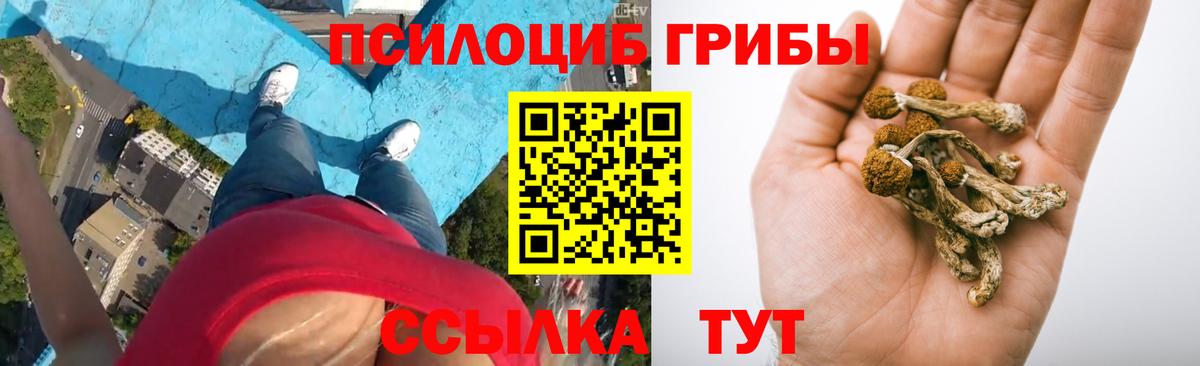 Галлюциногенные грибы мицелий  Вход с VPN  Ступино  Псилоцибиновые грибы прущие грибы 